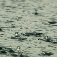 Surprising Facts About The Rain