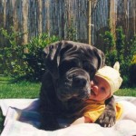 Brutus And Hugging A Baby