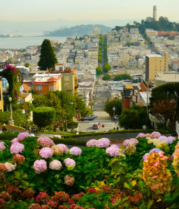 Lombard Street San Francisco 